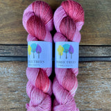 Three Trees Mersilk Assigned Pooling 4 ply yarn