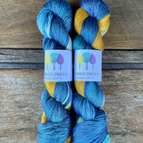 Three Trees Mersilk Assigned Pooling 4 ply yarn