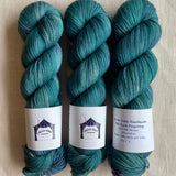 Circus Tonic Handmade - Fete Sock Fingering
