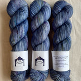 Circus Tonic Handmade - Fete Sock Fingering
