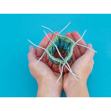 Addi Crasy Snake Lace double pointed needles