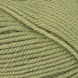 Enjoy Fiddlesticks Peppin 8 Australian Merino Wool yarn. Available online with fast delivery or in store at Samford Valley, Brisbane yarn supplies shop. Yarn suitable for crochet and knitting patterns. 8 ply DK yarn in a range of colours. Learn to knit, learn to crochet with this yarn. Knit or crochet garments, fashion accessories, blankets, scarves, toys, baby and kids wear with colour 829 Leaf.