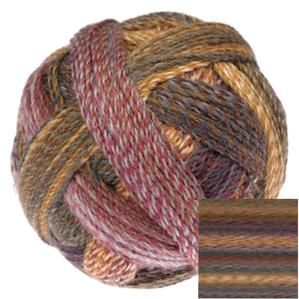 Schoppel Zauberball - Crazy Sock Yarn