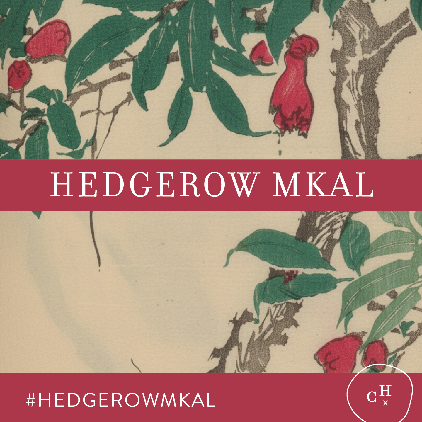 Curious Handmade Hedgerow MKAL Cast On Party at That Yarn Place Samford Valley Brisbane
