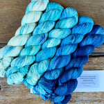 Circus Tonic Handmade - Duality Shawl Set