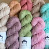 Circus Tonic Lace Collection