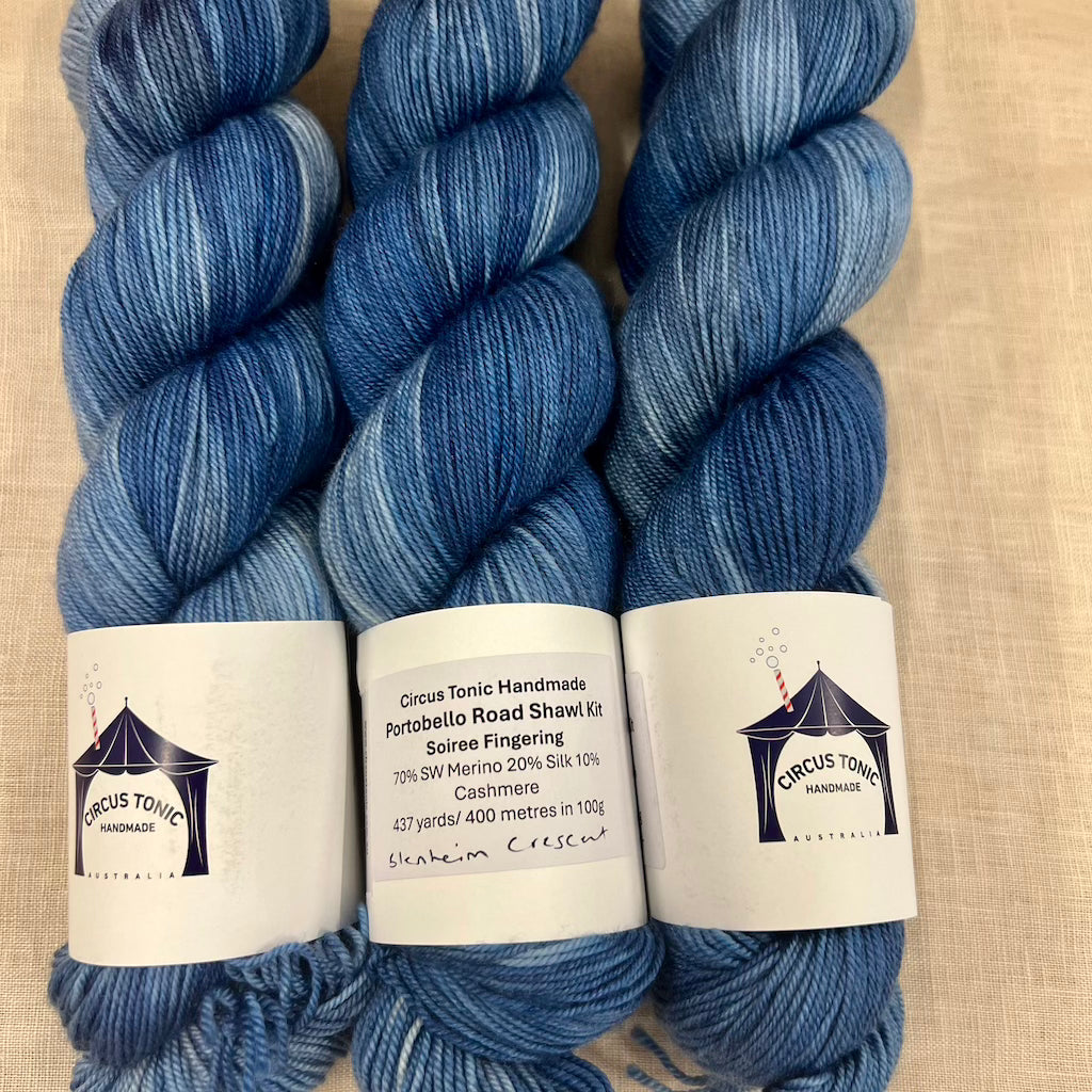 Circus Tonic Handmade Yarns Soiree Fingering Hand Dyed - 
Blenheim Crescent Blue