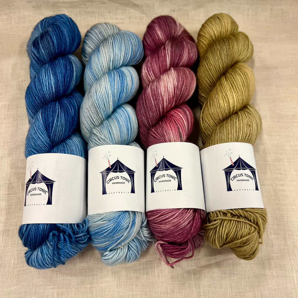 Circus Tonic Handmade Yarns Soiree Fingering Hand Dyed