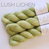 Ash & Eve Woodland Whimsy Collection - Merino/Bamboo 4 ply Fingering Yarn