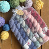 Birdhouse Fibres Squish Sock Mini Skein Packs - 6  x 20 gram Skeins