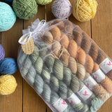 Birdhouse Fibres Squish Sock Mini Skein Packs - 6  x 20 gram Skeins