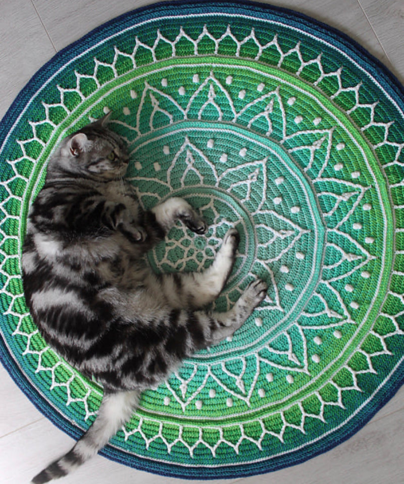July Maker’s Club crochet project Indian Flower Rug displayed at a Brisbane yarn shop