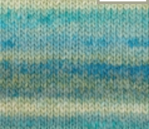Patons Sierra Chunky Yarn