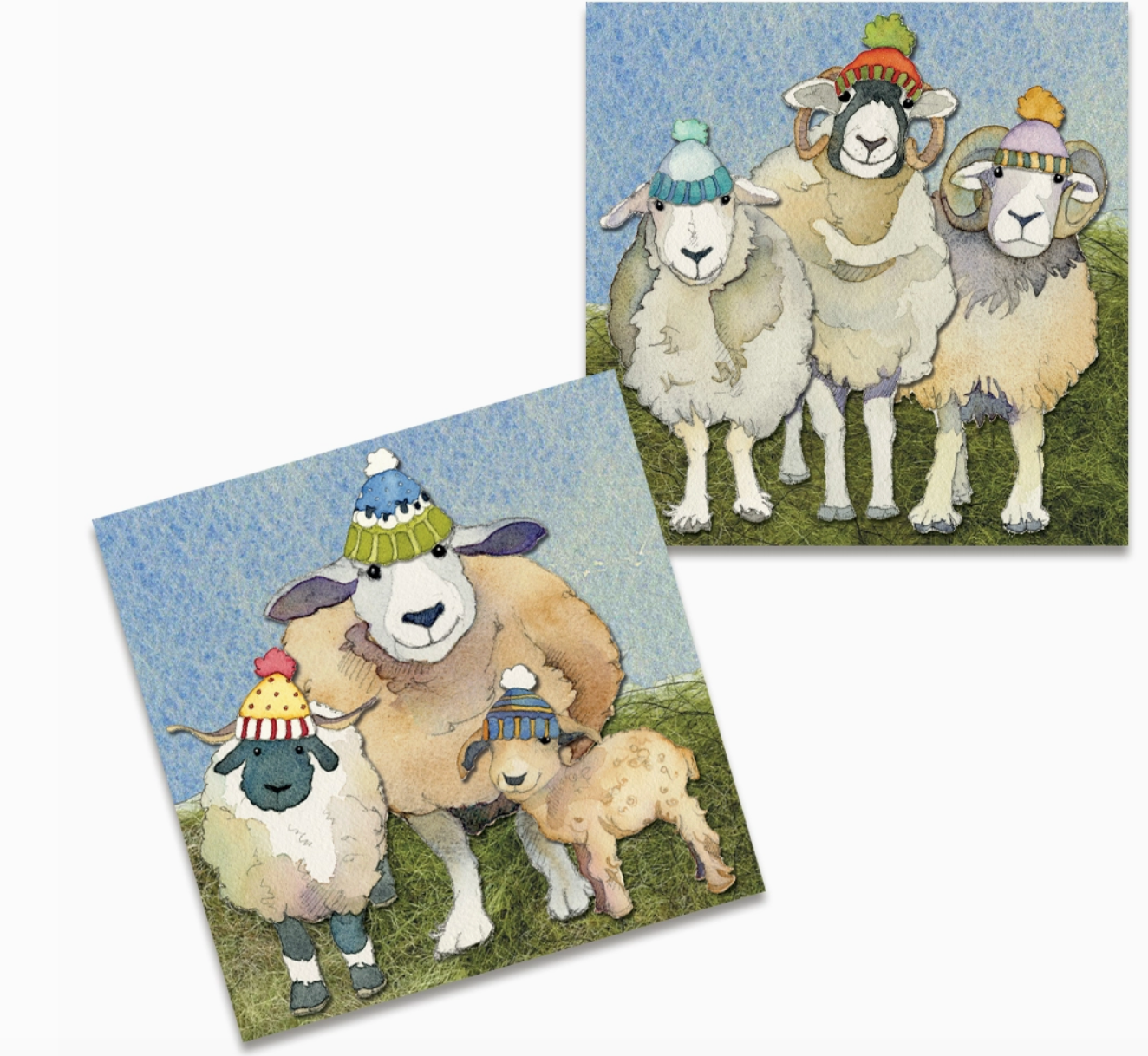 Emma Ball Happy Sheep Card Pack