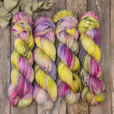 Three Trees Fibrecrafts - Fledgling Sock Yarn