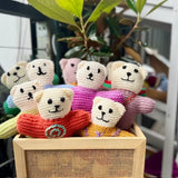 Comfort Teddy Pledge