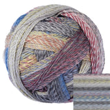 Schoppel Zauberball - Crazy Sock Yarn