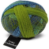 Schoppel Zauberball - Crazy Sock Yarn