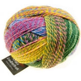 Schoppel Zauberball - Crazy Sock Yarn