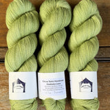 Circus Tonic Lace Collection