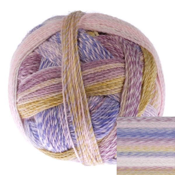 Schoppel Zauberball - Crazy Sock Yarn
