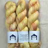 Circus Tonic Handmade Soiree Fingering Luxury Hand dyed Yarn