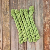 Three Trees Fledgling 4 ply Sock Mini Skeins