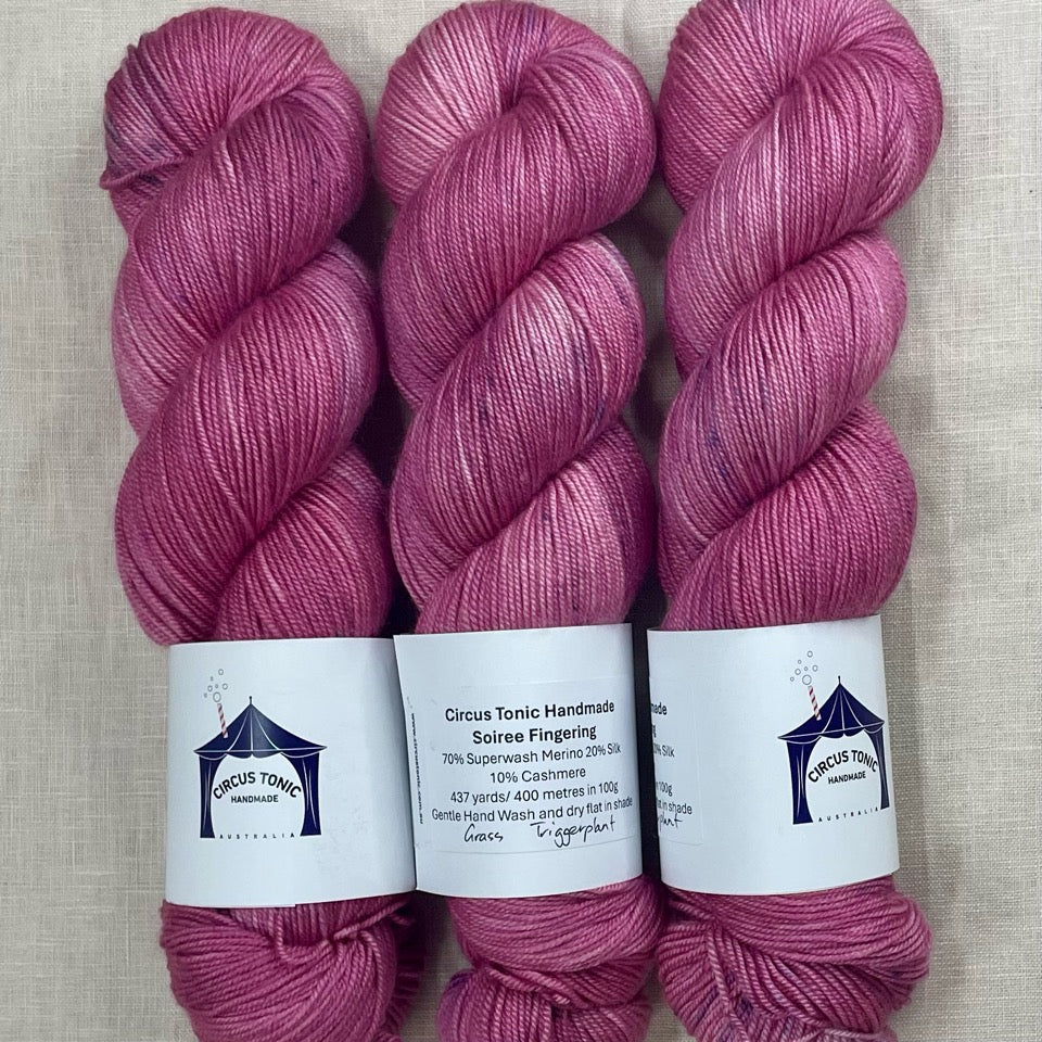 Circus Tonic Handmade Soiree Fingering Luxury Hand dyed Yarn