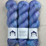Circus Tonic Handmade Soiree Fingering Luxury Hand dyed Yarn