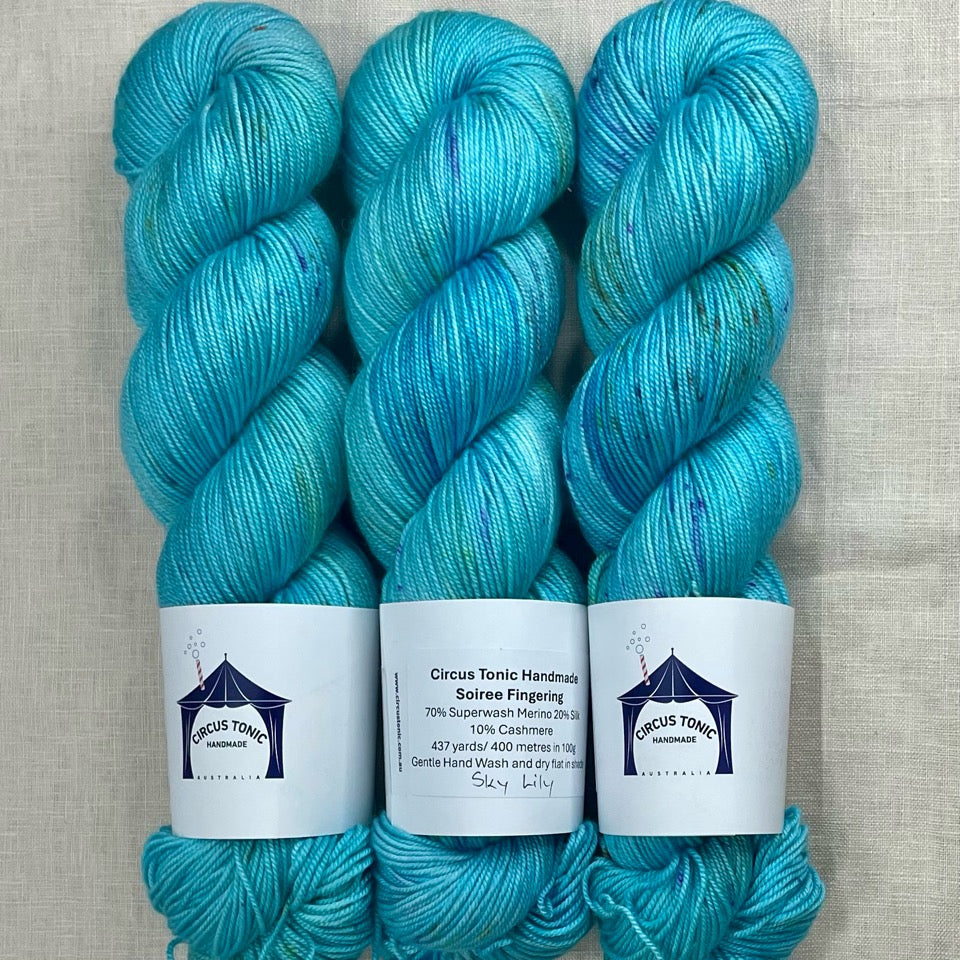 Circus Tonic Handmade Soiree Fingering Luxury Hand dyed Yarn