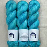Circus Tonic Handmade Soiree Fingering Luxury Hand dyed Yarn