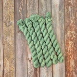 Three Trees Fledgling 4 ply Sock Mini Skeins