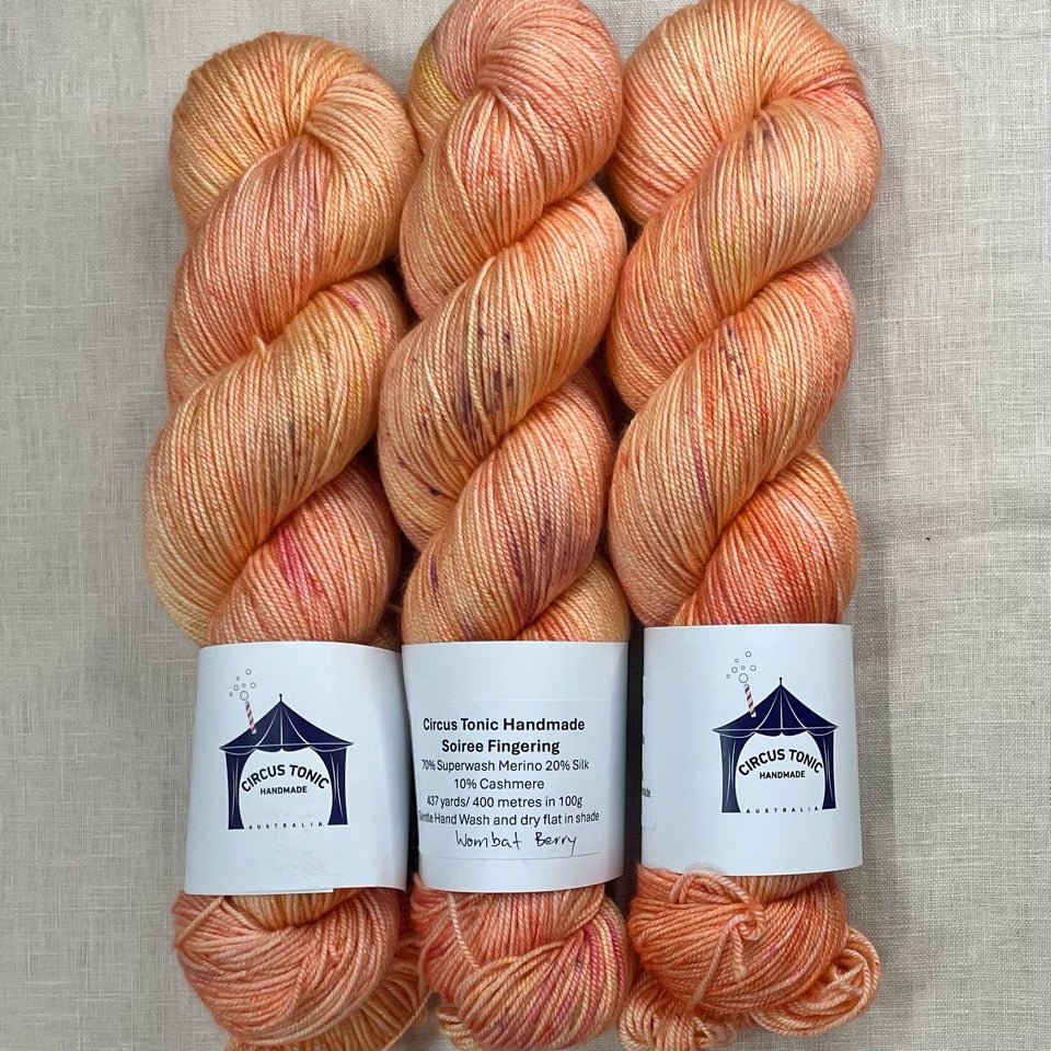 Circus Tonic Handmade Soiree Fingering Luxury Hand dyed Yarn