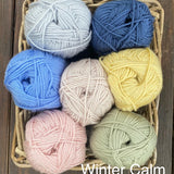 Nature’s Walk Crochet Along - Yarn Packs